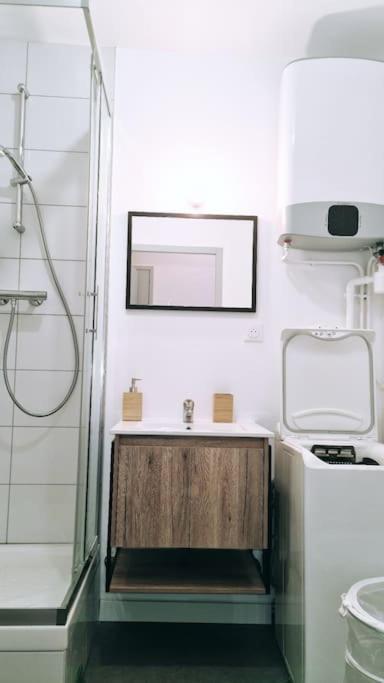 Apartment Le Cosy Moderne Et Chaleureux Saint-Etienne (Loire)