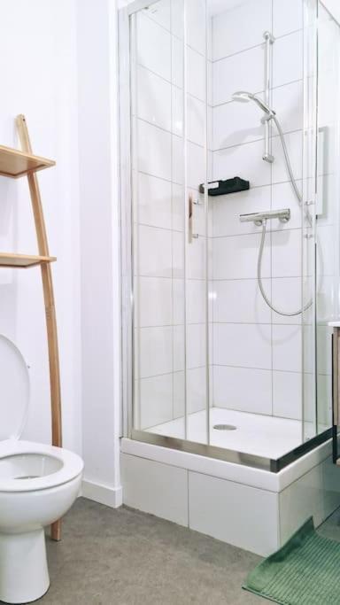 Le Cosy Moderne Et Chaleureux Apartment Saint-Etienne (Loire)