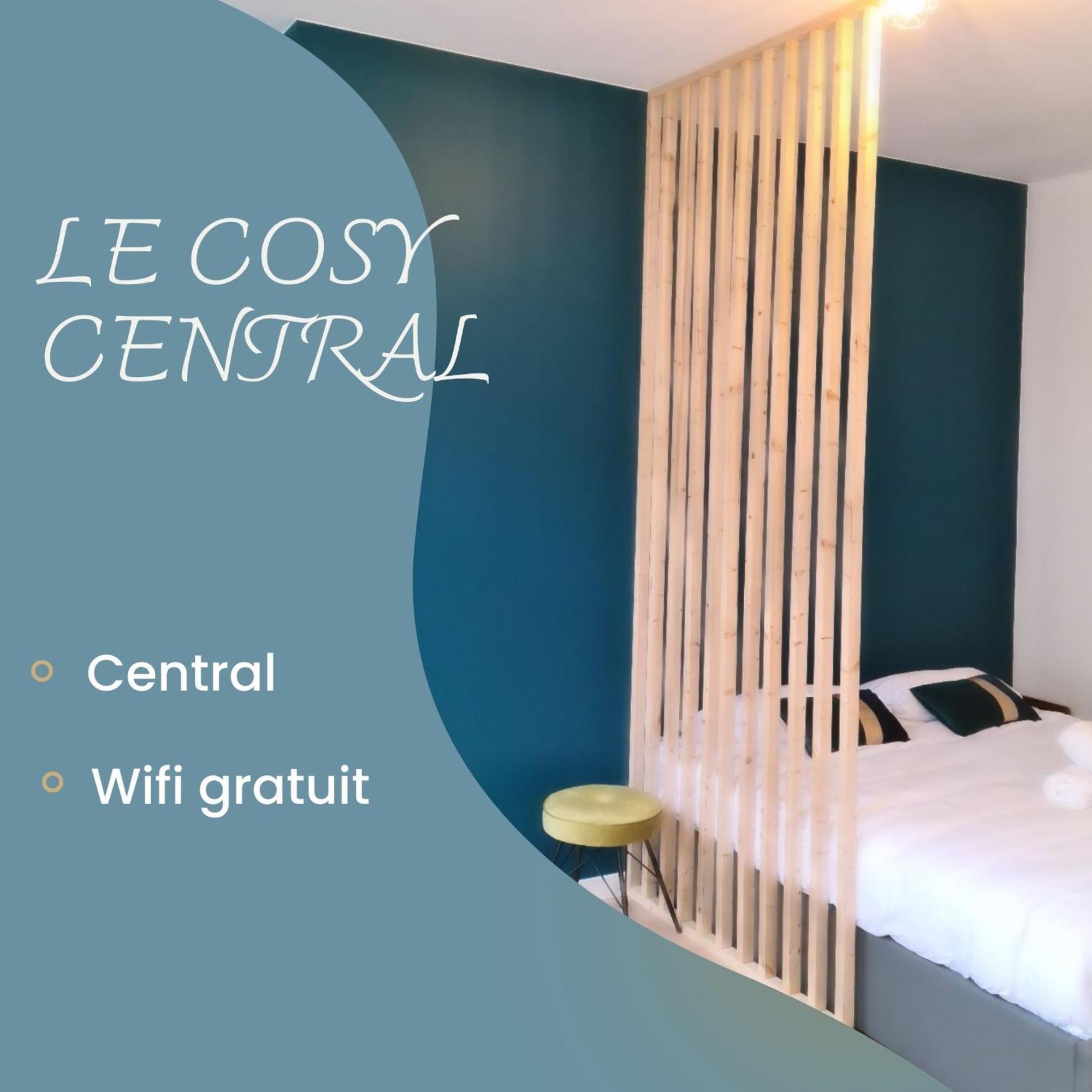 Le Cosy Moderne Et Chaleureux * Saint-Etienne (Loire)